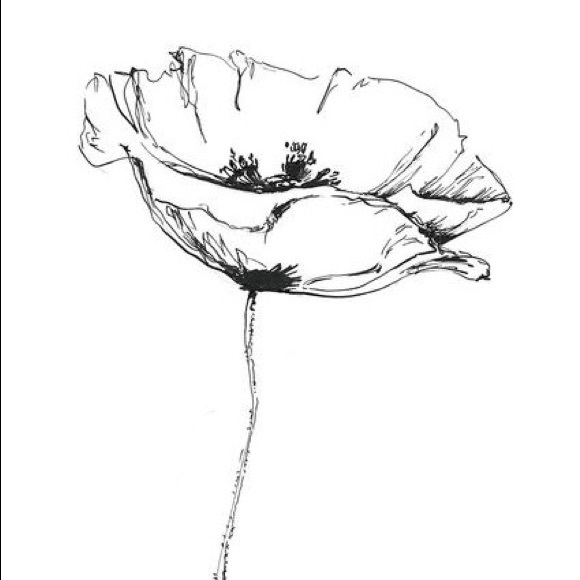 white_poppy